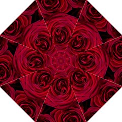 Roses Flowers Red Forest Bloom Folding Umbrellas by Amaryn4rt