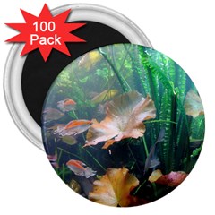 Marine Life 3  Magnets (100 Pack) by trendistuff