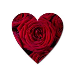 Roses Flowers Red Forest Bloom Heart Magnet by Amaryn4rt