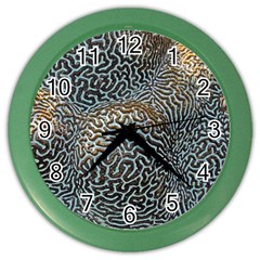 Coral Pattern Color Wall Clocks by Amaryn4rt