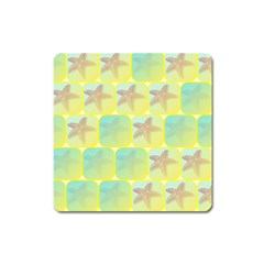 Starfish Square Magnet